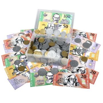 Money Set (coins and notes)