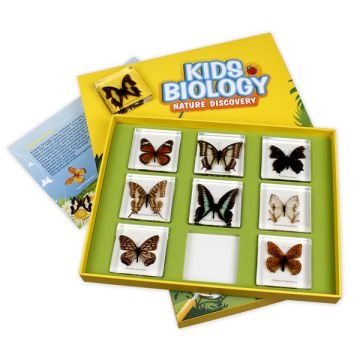 Bug Blocks - Butterflies - Set of 9
