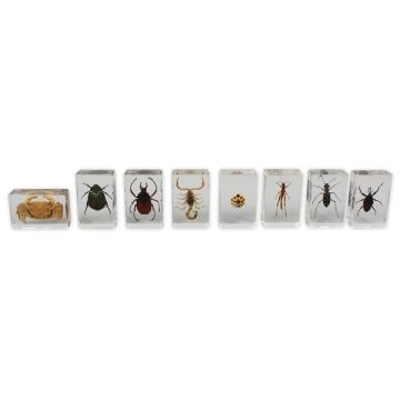 Mini Bug Blocks - Set of 8