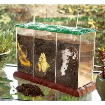 See Through Compost Container
