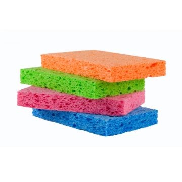 Sponge - Kitchen (5)