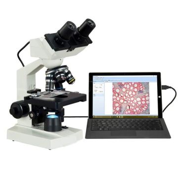 Microscope - Digital Binocular