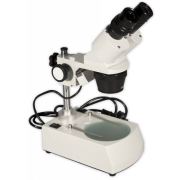 Stereo Microscope