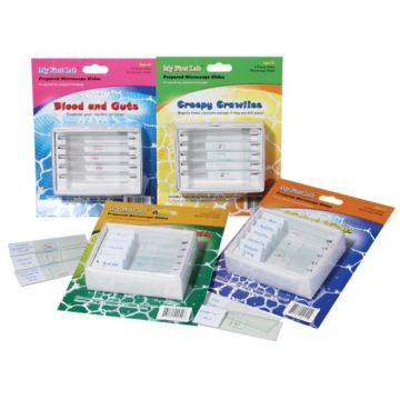 Prepared Microscope Slides (Set of 40)