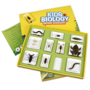 Bug Blocks - Venomous Animals 