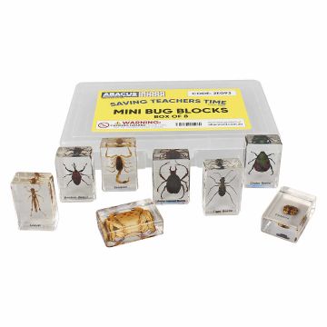 Mini Bug Blocks - Box of 8