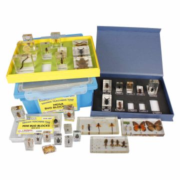 Mega Bug Blocks Kit