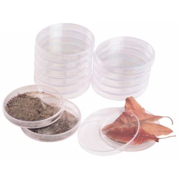 Petri Dish (20)