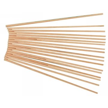 Skewers (100)