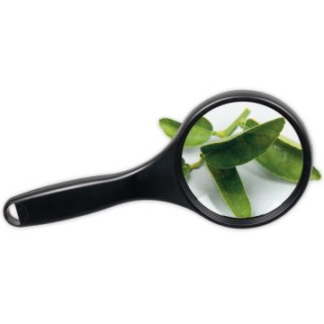Magnifier