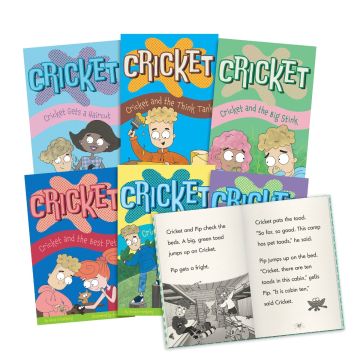 Decodable Readers - Decodable Chapter Books - Phase 4 - Blends