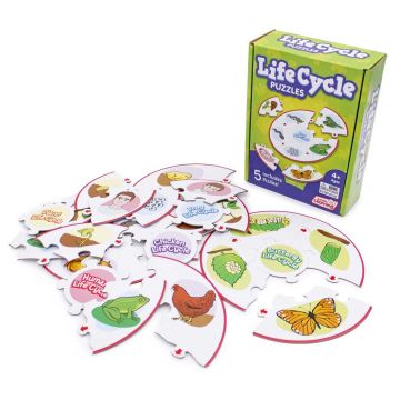 Life Cycle Puzzle