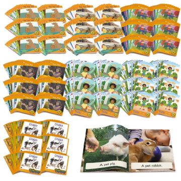 Decodable Readers - Essentials Plus Classroom Kit - Phase 2 - Letter Sounds