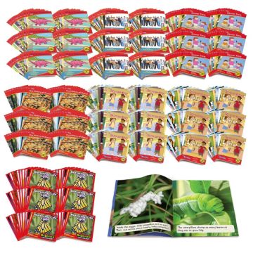 Decodable Readers - Essentials Plus Classroom Kit - Phase 6 - Spelling