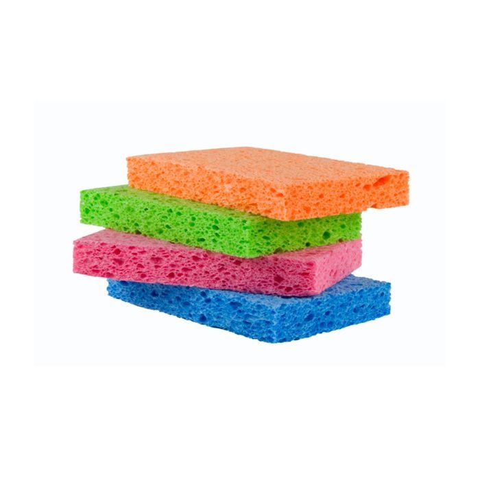 Sponge - Kitchen (5)  Abacus Educational Suppliers
